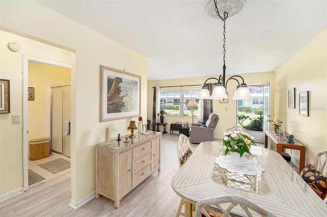 5216 81st St N Unit 2, Saint Petersburg, FL 33709 - dining room with light wood-style floors and a chandelier