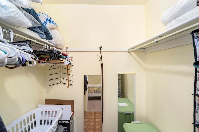 5216 81st St N Unit 2, Saint Petersburg, FL 33709 - view of spacious closet