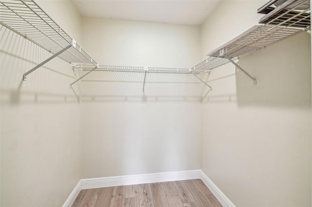 spacious closet featuring light wood-type flooring