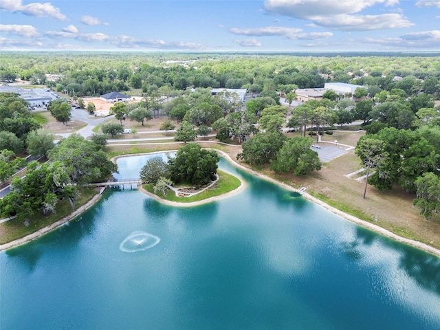 bird's eye view featuring a water view and a forest view