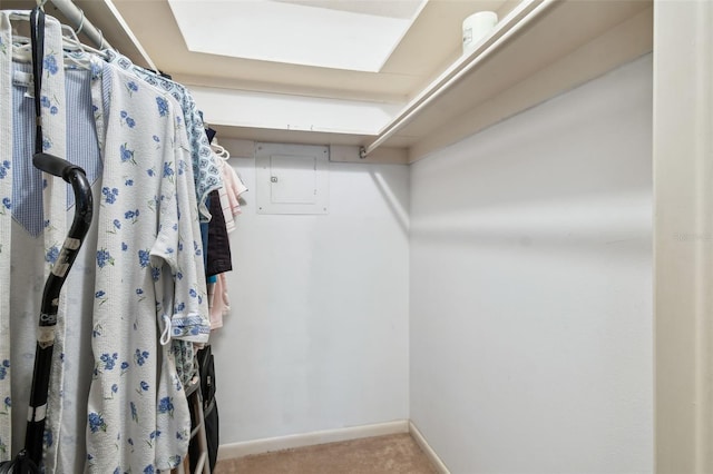 walk in closet featuring carpet flooring and electric panel