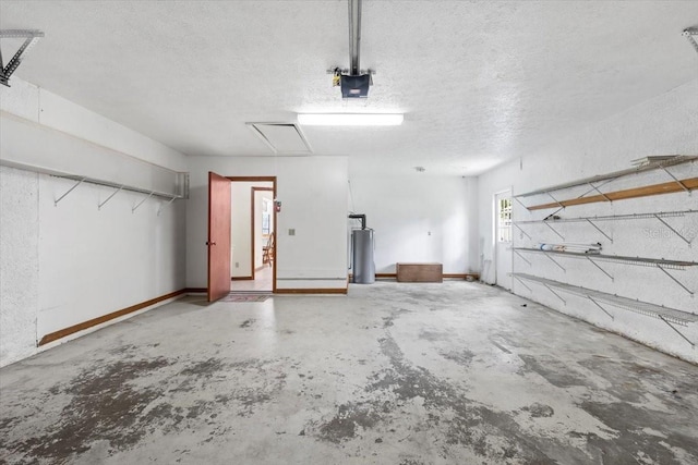3808 Hollow Wood Dr, Valrico, FL 33594 - garage featuring gas water heater and a garage door opener
