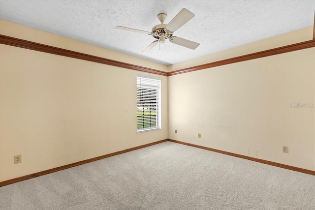 3808 Hollow Wood Dr, Valrico, FL 33594 - empty room with light colored carpet, a ceiling fan, and a textured ceiling