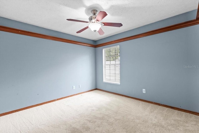 3808 Hollow Wood Dr, Valrico, FL 33594 - empty room featuring carpet flooring, a ceiling fan, and a textured ceiling
