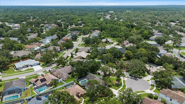 3808 Hollow Wood Dr, Valrico, FL 33594 - aerial view of property's location with nearby suburban area and a forest