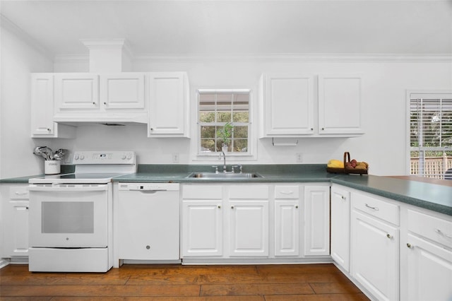 13015 Elm St, Odessa, FL 33556 - kitchen with plenty of natural light, white appliances, crown molding, and a sink