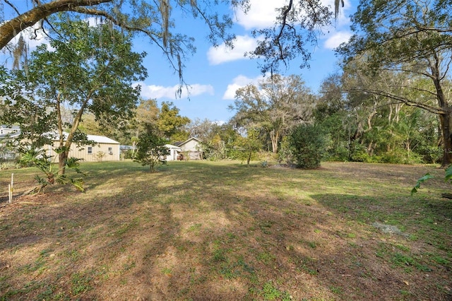 13015 Elm St, Odessa, FL 33556 - view of yard