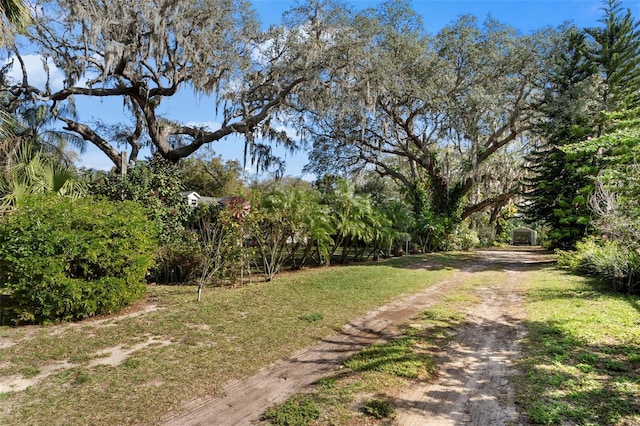 13015 Elm St, Odessa, FL 33556 - view of road featuring dirt driveway