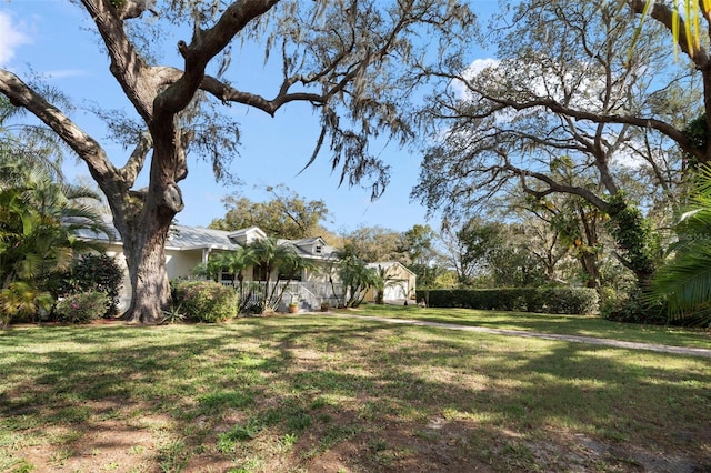 13015 Elm St, Odessa, FL 33556 - view of yard