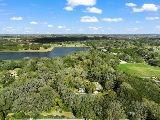 13015 Elm St, Odessa, FL 33556 - bird's eye view featuring a water view and a wooded view