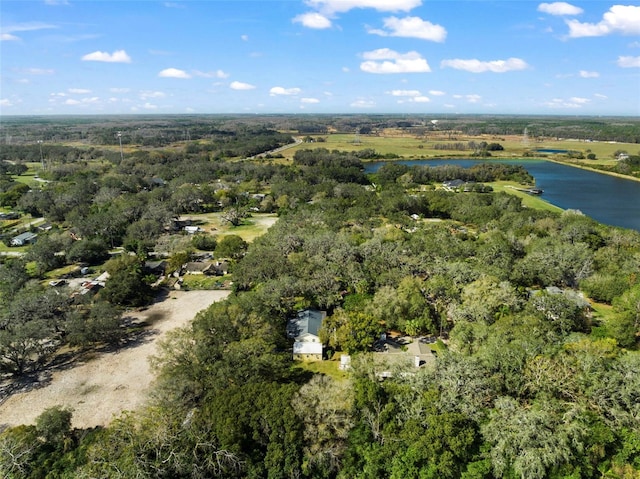 13015 Elm St, Odessa, FL 33556 - aerial view featuring a water view and a view of trees