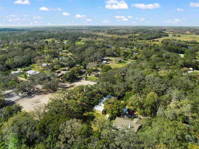 13015 Elm St, Odessa, FL 33556 - birds eye view of property with a view of trees