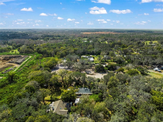 13015 Elm St, Odessa, FL 33556 - aerial view with a forest view
