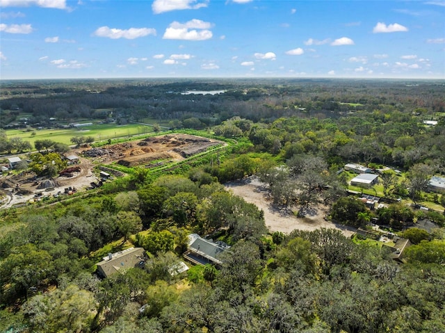 13015 Elm St, Odessa, FL 33556 - drone / aerial view with a forest view