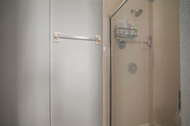 3056 Pointeview Dr, Tampa, FL 33611 - full bathroom with a shower stall
