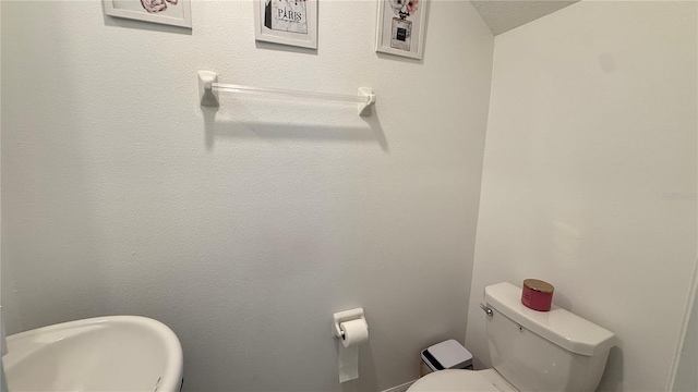 5131 Forum Blvd, Holiday, FL 34690 - photo 10