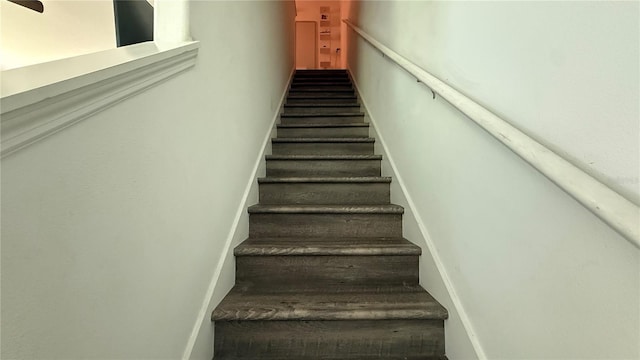 5131 Forum Blvd, Holiday, FL 34690 - photo 11