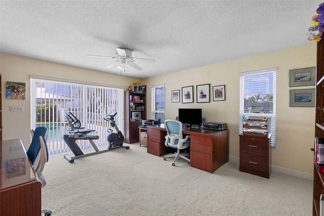4333 48th Ave S, Saint Petersburg, FL 33711 - office space with a healthy amount of sunlight, light carpet, and a ceiling fan