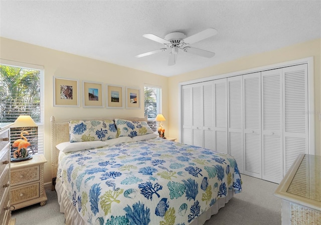 4333 48th Ave S, Saint Petersburg, FL 33711 - bedroom with a closet, multiple windows, and carpet floors