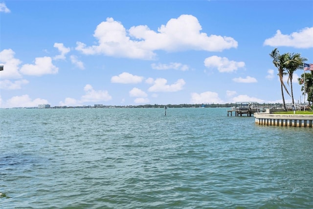 4333 48th Ave S, Saint Petersburg, FL 33711 - property view of water