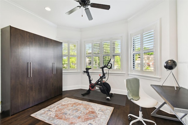 workout area with baseboards, wood finished floors, a ceiling fan, and ornamental molding