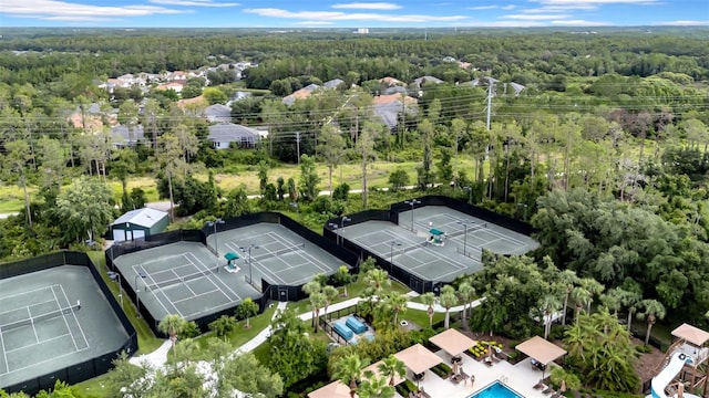3254 Grassglen Pl, Wesley Chapel, FL 33544 - drone / aerial view of a forest