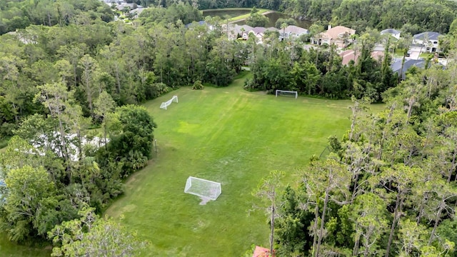 3254 Grassglen Pl, Wesley Chapel, FL 33544 - aerial view of a forest