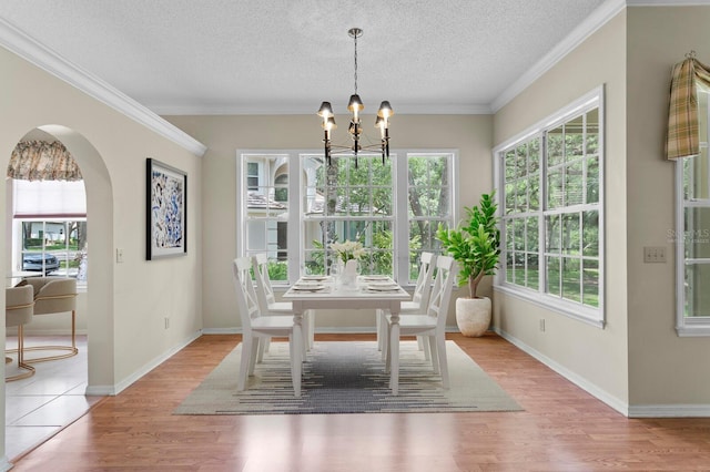 15314 Sherwood Forest Dr, Tampa, FL 33647 - dining area featuring a chandelier, healthy amount of natural light, light wood finished floors, a textured ceiling, and arched walkways