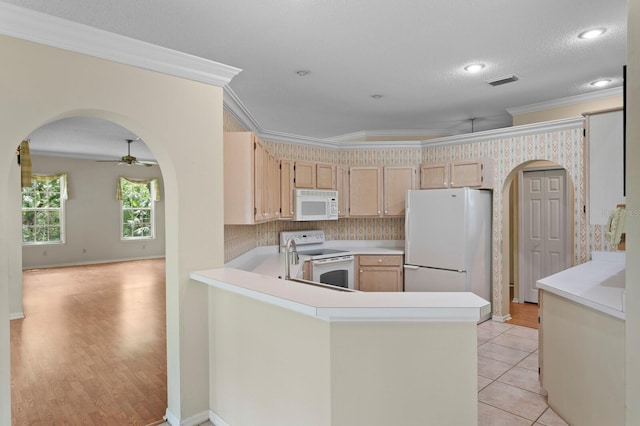 15314 Sherwood Forest Dr, Tampa, FL 33647 - kitchen featuring white appliances, arched walkways, crown molding, light countertops, and a ceiling fan