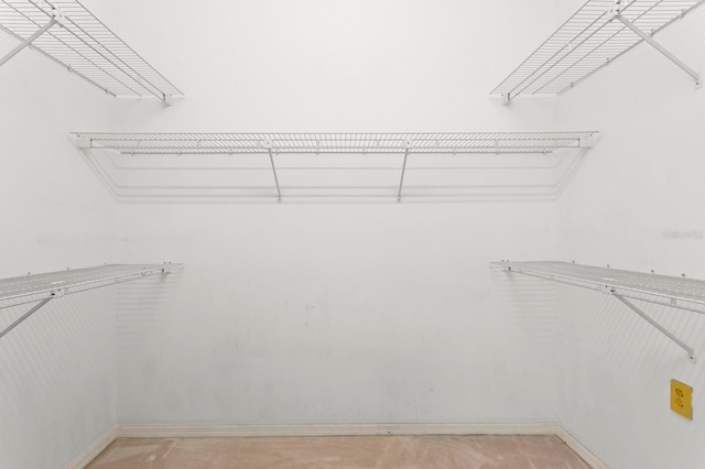 15314 Sherwood Forest Dr, Tampa, FL 33647 - view of spacious closet