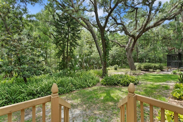 15314 Sherwood Forest Dr, Tampa, FL 33647 - view of grassy yard