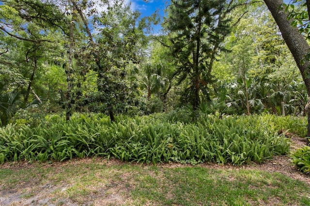 15314 Sherwood Forest Dr, Tampa, FL 33647 - view of yard