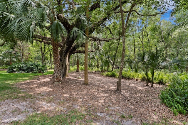 15314 Sherwood Forest Dr, Tampa, FL 33647 - view of nature