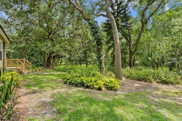 15314 Sherwood Forest Dr, Tampa, FL 33647 - view of yard featuring a wooded view