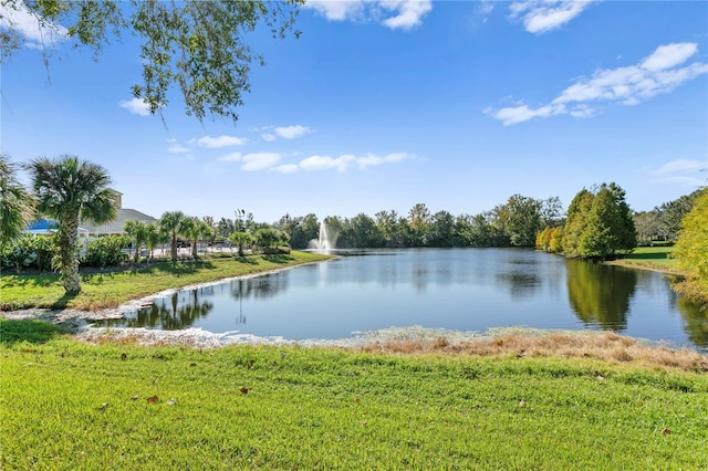 15314 Sherwood Forest Dr, Tampa, FL 33647 - water view