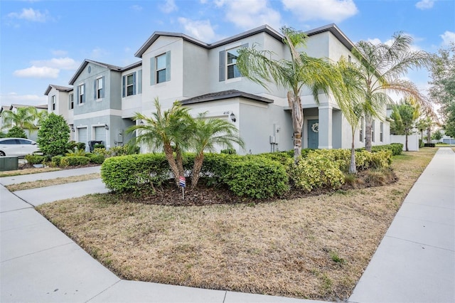 4550 Globe Thistle Dr, Tampa, FL 33619 - photo 6