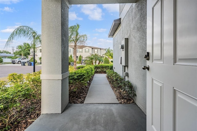 4550 Globe Thistle Dr, Tampa, FL 33619 - photo 7