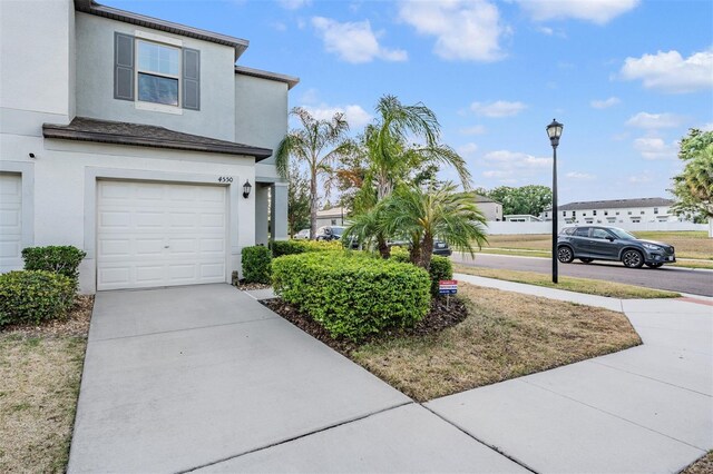 4550 Globe Thistle Dr, Tampa, FL 33619 - photo 26