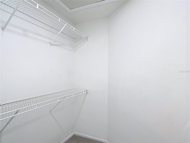view of spacious closet