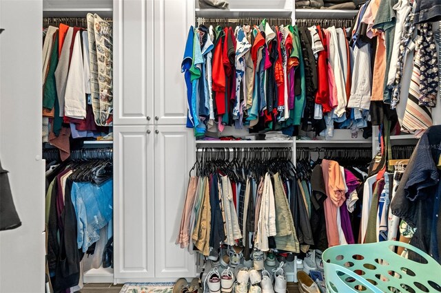 view of walk in closet