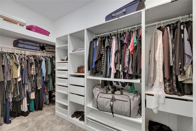spacious closet with carpet