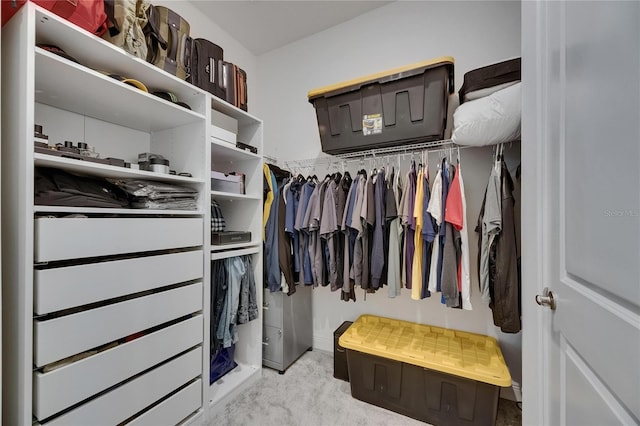 spacious closet featuring carpet floors