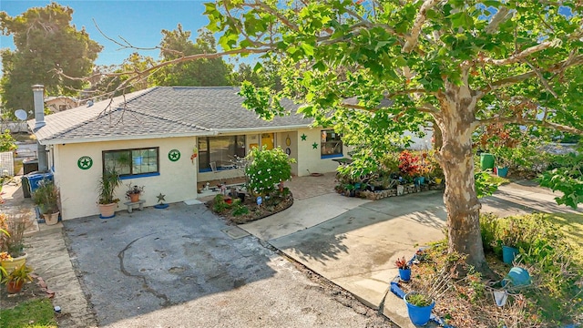 5100 Aragon Way S, Saint Petersburg, FL 33705 - ranch-style home featuring roof with shingles and stucco siding