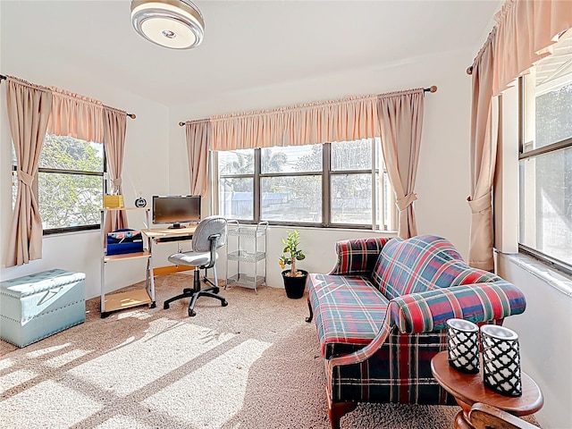 5100 Aragon Way S, Saint Petersburg, FL 33705 - office area with a wealth of natural light and carpet flooring