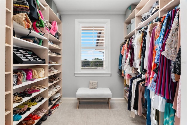429 St Andrews Dr, Belleair, FL 33756 - view of walk in closet