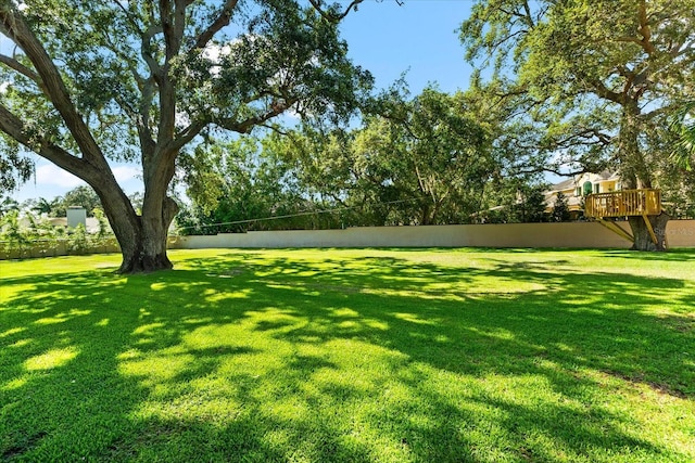1600 Magnolia Rd, Belleair, FL 33756 - view of yard