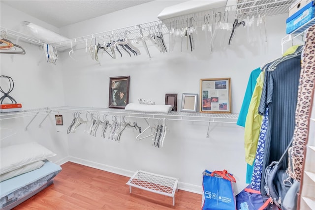 walk in closet featuring wood finished floors
