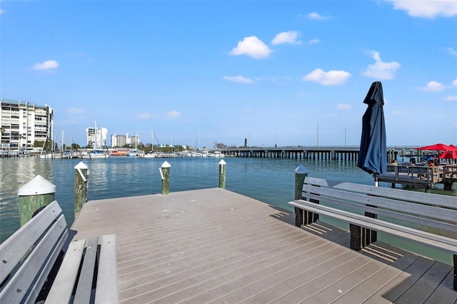 dock area featuring a water view
