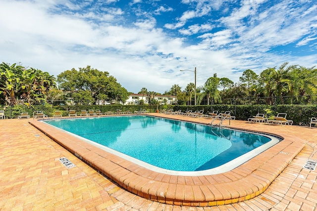 4306 La Mora Ct, Tampa, FL 33611 - community pool featuring a patio and fence
