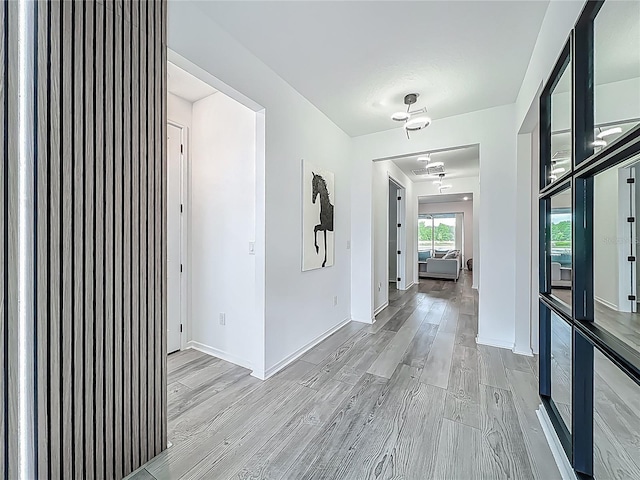 17683 Ramble On Way, Land O Lakes, FL 34638 - hall with baseboards and light wood finished floors